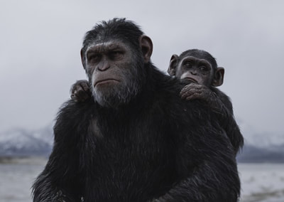 War-for-the-Planet-of-the-Apes-movie-2017-image